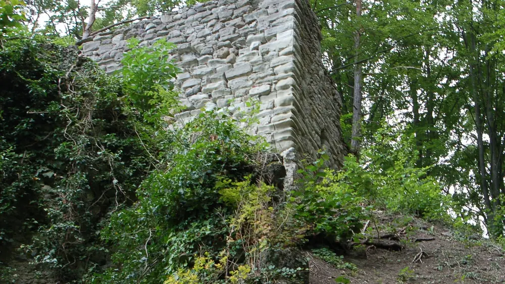Burg Ruine Hohenfels in Überlingen